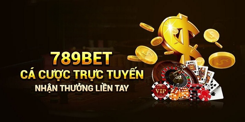 Cập nhật mới nhất về các trận đấu dành cho người hâm mộ bao bong đa