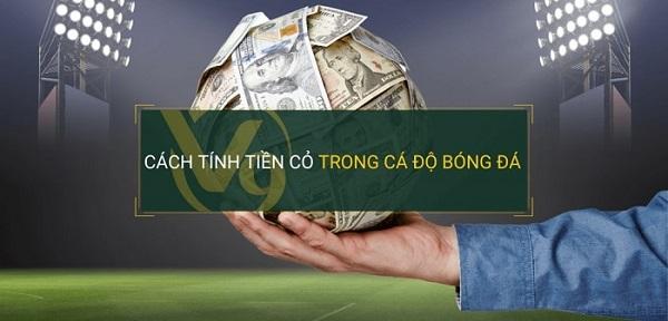 Nhận định bóng đá World Cup 2022 và dự đoán kết quả các trận đấu hấp dẫn