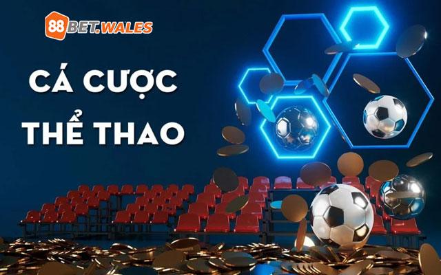 Mọi điều cần biết về thẻ scoin và cách sử dụng hiệu quả